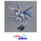 MG Freedom Gundam Ver.2.0