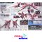 HGBF 013 Gundam Exia Dark Matter