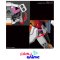 HGCE DESTINY GUNDAM - HEINE WESTENFLUSS CUSTOM