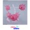 FIGURE-RISE EFFECT BURST EFFECT - SPACE PINK