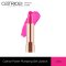 Catrice Power Plumping Gel Lipstick 070