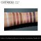 Catrice The Blazing Bronze Collection Eyeshadow Palette 010