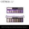 Catrice The Edgy Lilac Collection Eyeshadow Palette 010
