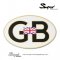 THE GOLD GB BADGE
