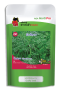 เมล็ดผักชีลาว วันทอง ซอง 100 g