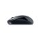 เมาส์ Genius Mouse DX-110 USB