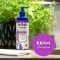Dr Teal's Soothing Lavender Body Lotion - 18 fl oz 532 mL โลชั่น อเมริกา ลาเวนเดอร์