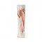 Peppermint Mini Candy Canes
