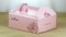 2401A Pink Box: Le Jardin Des Sens 18.5*22.5*9 cm