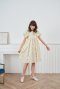 (D26) Andria Dress