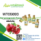 กลิ่นทับทิม(WT05693) Red Pomegranate flavour