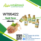 กลิ่นหมึก(WT95422) Squid flavour