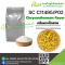 (SC C11495/P02) Chrysanthemum FLAVOR