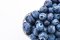 Blueberry flavor(WT05108)