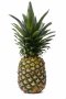 กลิ่นสับปะรด(WT31614) Pineapple Flavor