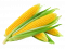 กลิ่นข้าวโพด(WT74216) Corn flavour