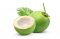 กลิ่นมะพร้าว(WT02592) Coconut flavour