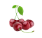 กลิ่นเชอรี่(WT05631) Cherry flavour