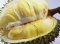 Durian powder(copy)
