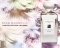 MAGNOLIA FLAVOUR(copy)