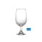 1523G12 Society Water Goblet