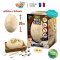 ไข่ไดโนเสาร์ยักษ์ ขุดค้นฟอสซิล 4 แบบ Dino Mega Egg รุ่น 2137 ยี่ห้อ Buki France