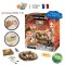 กล่องสุ่ม ขุดหาไดโนเสาร์ 12 ฟอง Dino Mega Egg Maxi Pack รุ่น 2138 ยี่ห้อ Buki France