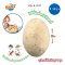 ไข่ไดโนเสาร์ยักษ์ ขุดค้นฟอสซิล 4 แบบ Dino Mega Egg รุ่น 2137 ยี่ห้อ Buki France
