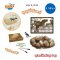 กล่องสุ่ม ขุดหาไดโนเสาร์ 12 ฟอง Dino Mega Egg Maxi Pack รุ่น 2138 ยี่ห้อ Buki France