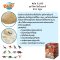 กล่องสุ่ม ขุดหาไดโนเสาร์ Dino Eggs รุ่น D6O ยี่ห้อ Buki France