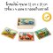 จิ๊กซอไม้ 12 ชิ้น x 4 ลาย รุ่นรถก่อสร้าง Wooden Jigsaw Puzzles in a Box Construction รุ่น 3792  ยี่ห้อ Melissa & Doug