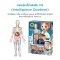 ชุดของเล่นวิทยาศาสตร์โมเดลร่างกายมนุษย์ Human Body รุ่น 2163 ยี่ห้อ Buki France