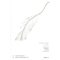 หนังสือ วะบิ-ซะบิ WABI-SABI For Artists, Designers, Poets &Philosophers