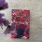 หนังสือThe Crimsons’  (English edition)(copy)