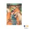 หนังสือ คิมหันต์สุดท้ายของเจ้าชายจิ้งจอก