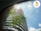 luxury condo for sale in bangkok