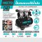C1 ปั้มลมออยฟรี 600W 30L.