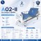 A02-II