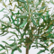 OLIVE TREE - H 400 CM