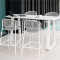 BUTTERFLY BAR C ALU WHITE MAT