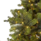 Christmas Tree Winnipeg pine Micro LED outdoor (D170 x H240 cm.)
