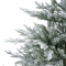 Christmas Tree  Grandis fir snowy (D182 x H300 cm.)