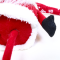 Gnome Dolls Christmas Figurine Red (L21 x W13 x H66 Cm)