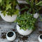 กระถางต้นไม้ Vase Tapered Round Rib (Size D 15 x H 13 cm)