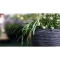 VASE TAPERED ROUND RIB BLACK