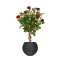 กระถางต้นไม้ Vase Ball Rib I (Size D 38 x H 33 cm)
