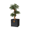 PLANTER SQUARE RIB BLACK
