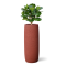 LONG BARREL ROSSO 55x137