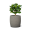 BARREL สีเทา 34x34