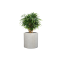 CYLINDER ANTIQUE สีขาว 35x35